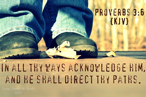 He Will Direct Your Path {Word Filled Wednesday}