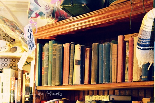 Annie Laurie's Antiques {Living Outside the Stacks}
