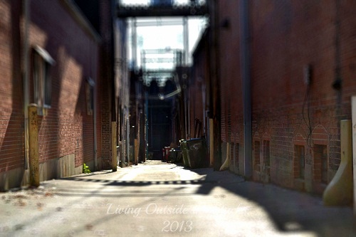 Alley {Living Outside the Stacks}