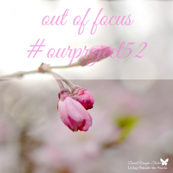 Out of Focus Pink Flowers {Living Outside the Stacks} #OurProject52
