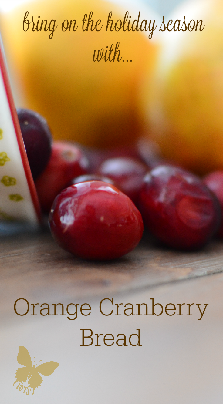 Orange Cranberry [walnut] Bread {living outside the stacks}