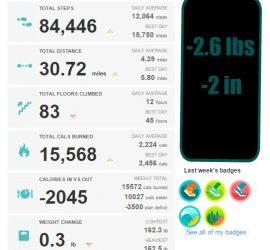 Fitbit Last Week of July Stats {living outside the stacks} #operationsnapback
