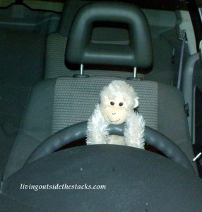 Driving Monkey