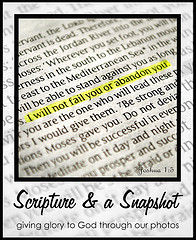 Scripture & a Snapshot
