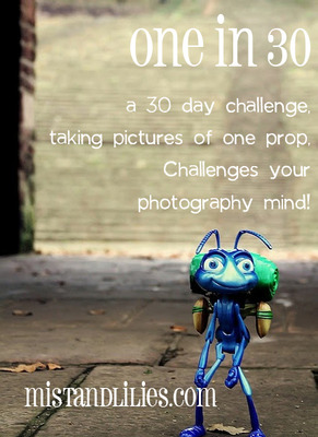 One in Thirty {Photography Challenge}