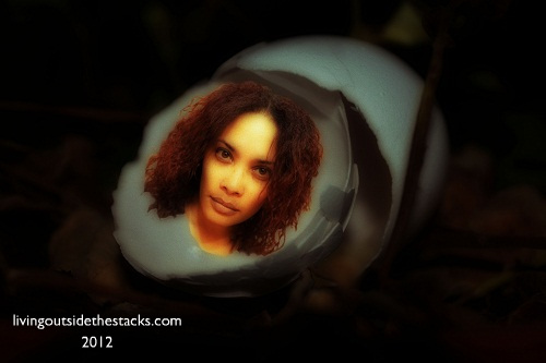 Egg~Head {Shoot. Edit. Submit.}