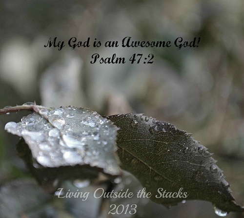 My God is an Awesome God {Living Outside the Stacks}