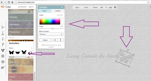 How to Create a Watermark Using PicMonkey {Living Outside the Stacks}