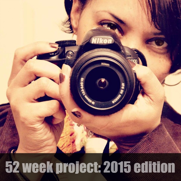 52 Week Project 2015 Edition {Living Outside the Stacks}
