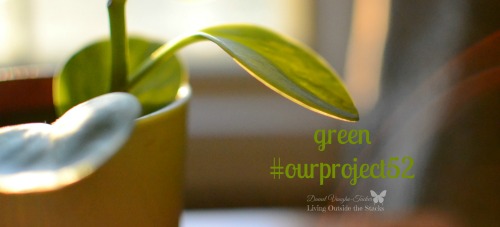 Green #OurProject52 {Living Outside the Stacks}