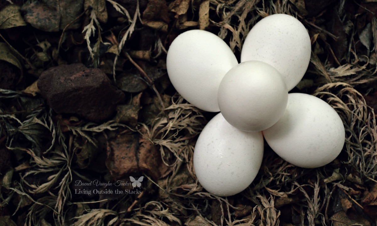 Eggs {Living Outside the Stacks}  #OurProject52