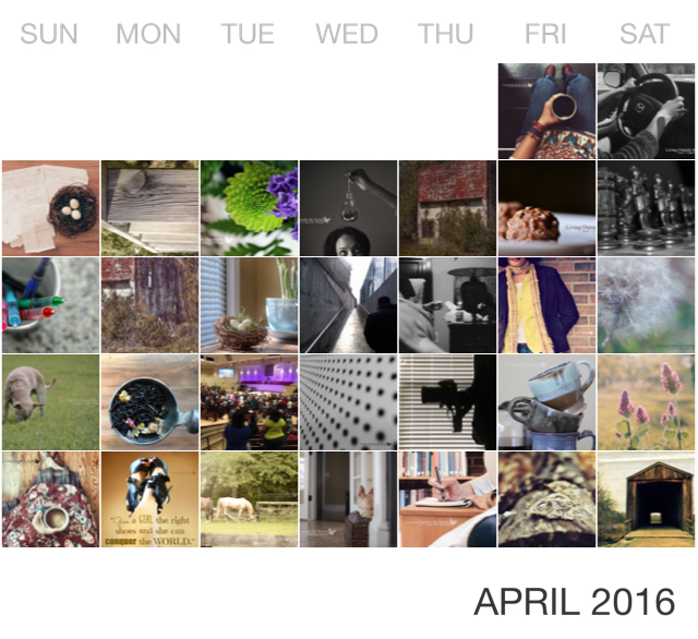 April in Pictures {living outside the stacks}