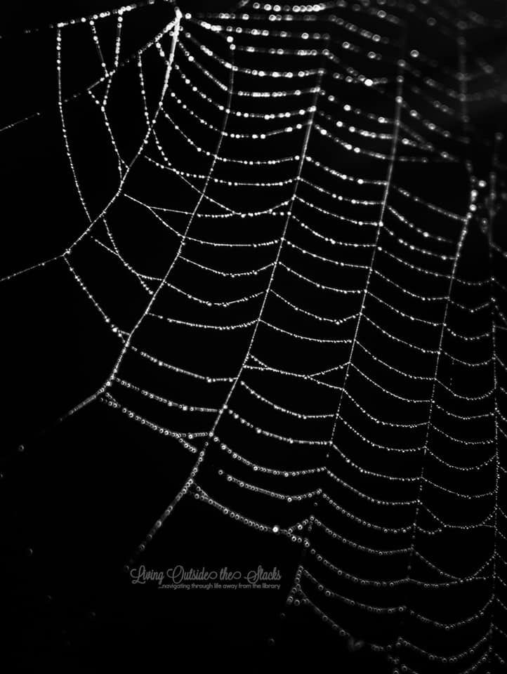 1 May Spiderweb {living outside the stacks} Follow me on Instagram @DaenelT
