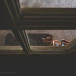 Bleu Chrys {living outside the stacks} #BleuChrys #AdoptDontShop