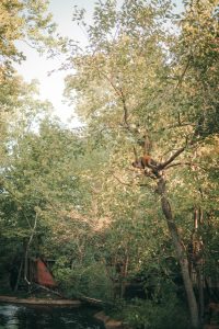 Zoo Boo 9 {living outside the stacks} Follow @livingoutsidethestacksphoto on Instagram
