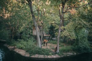 Zoo Boo 9 {living outside the stacks} Follow @livingoutsidethestacksphoto on Instagram