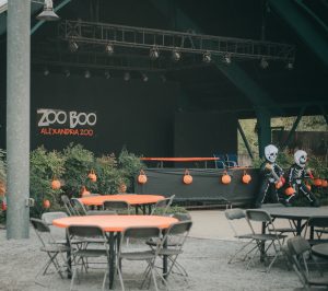 Zoo Boo 1 {living outside the stacks} Follow @livingoutsidethestacksphoto on Instagram
