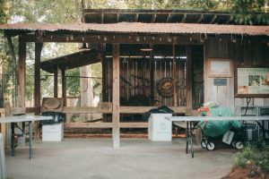 Zoo Boo 9 {living outside the stacks} Follow @livingoutsidethestacksphoto on Instagram