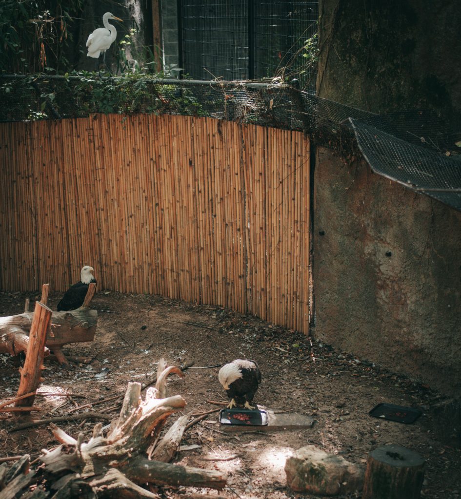Zoo Boo 9 {living outside the stacks} Follow @livingoutsidethestacksphoto on Instagram