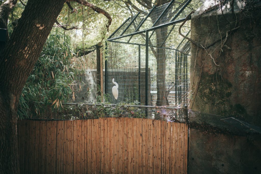 Zoo Boo 9 {living outside the stacks} Follow @livingoutsidethestacksphoto on Instagram