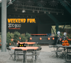 Zoo Boo {living outside the stacks}