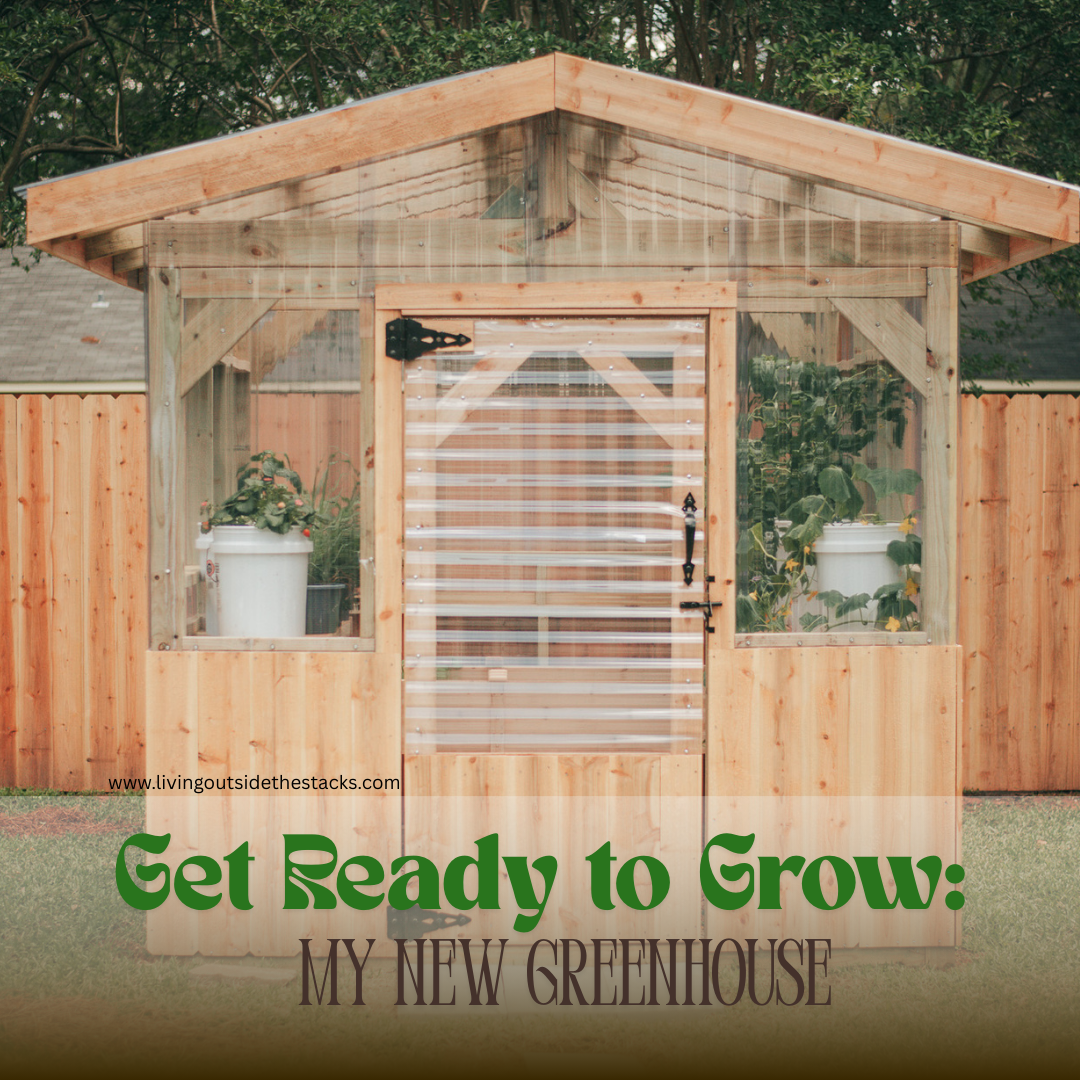 Get Ready to Grow My Greenhouse {living outside the stacks} Follow @DaenelT on Instagram #BlackGardener #ContainerGarden #Gardener #Greenhouse #Librarianotographer #LivingOutsideTheStacks #TeamLOTS #VegetableGarden