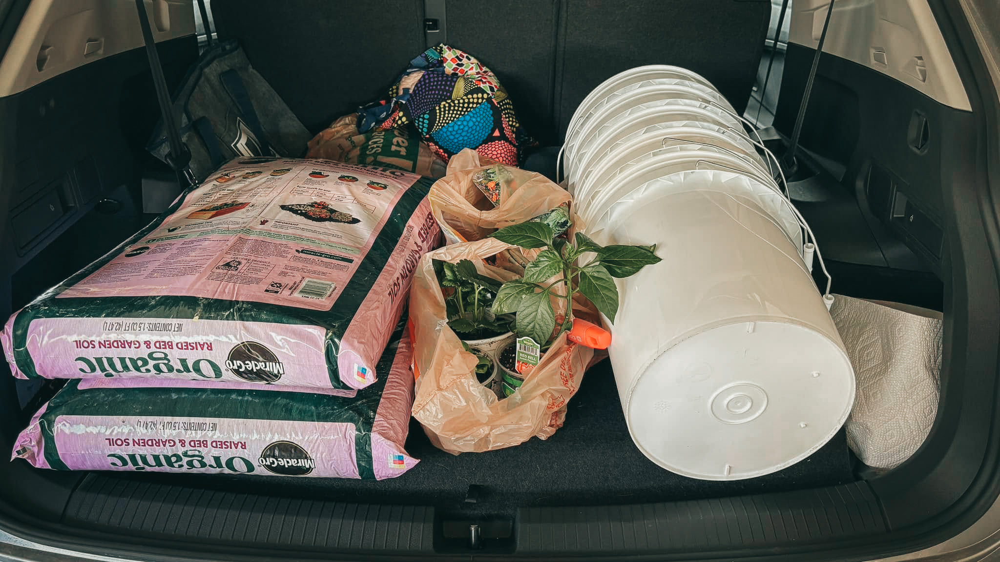 Get Ready to Grow My Greenhouse {living outside the stacks} Follow @DaenelT on Instagram #BlackGardener #ContainerGarden #Gardener #Greenhouse #Librarianotographer #LivingOutsideTheStacks #TeamLOTS #VegetableGarden