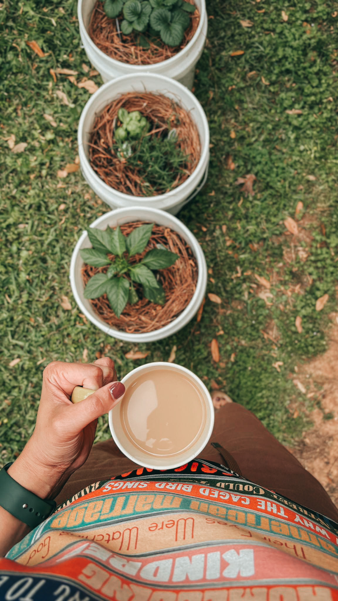 Get Ready to Grow My Greenhouse {living outside the stacks} Follow @DaenelT on Instagram #BlackGardener #ContainerGarden #Gardener #Greenhouse #Librarianotographer #LivingOutsideTheStacks #TeamLOTS #VegetableGarden