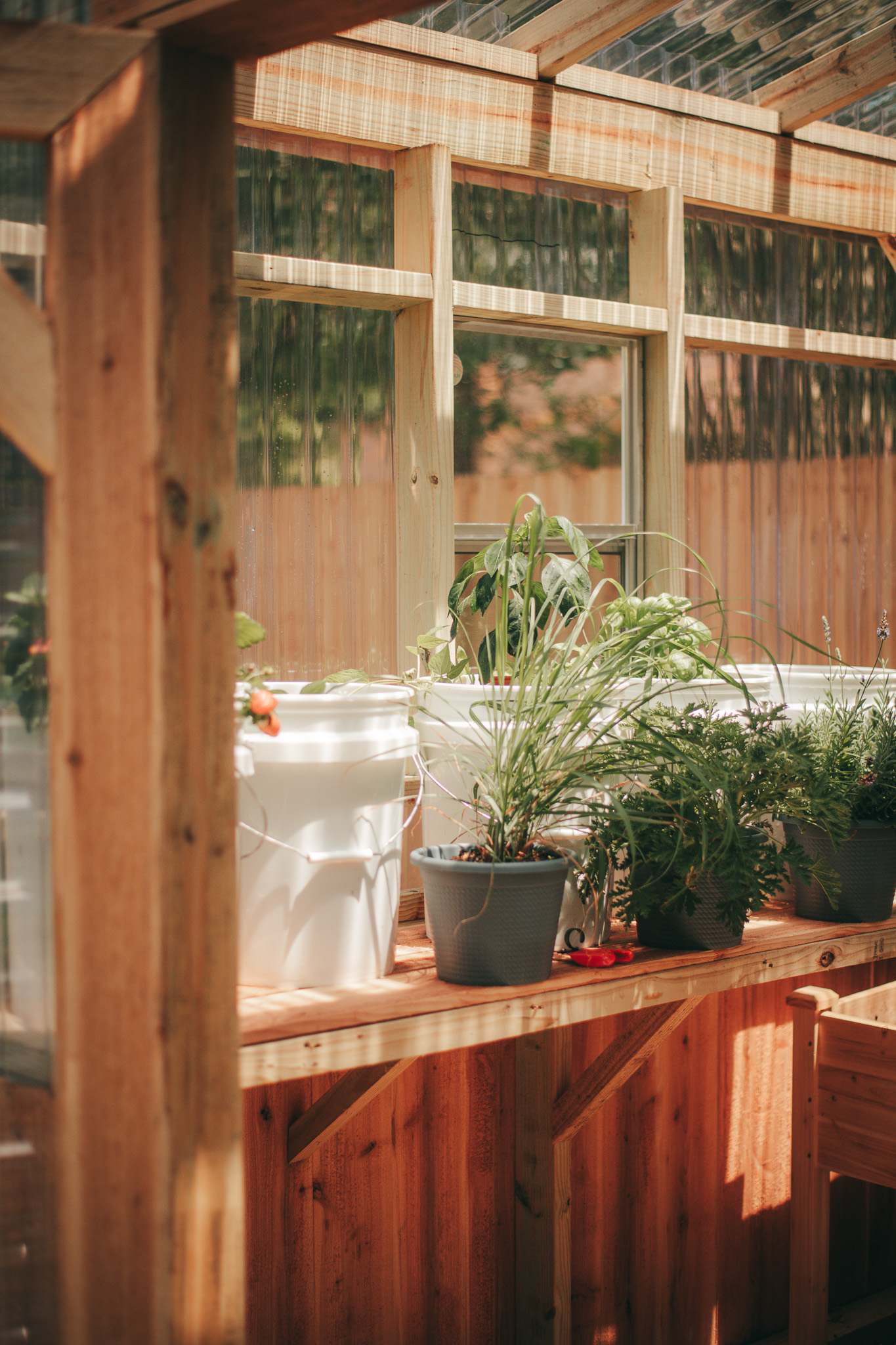 Get Ready to Grow My Greenhouse {living outside the stacks} Follow @DaenelT on Instagram #BlackGardener #ContainerGarden #Gardener #Greenhouse #Librarianotographer #LivingOutsideTheStacks #TeamLOTS #VegetableGarden