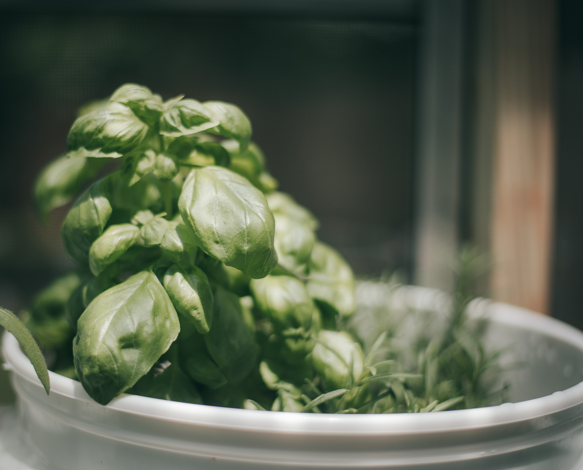 Get Ready to Grow My Greenhouse {living outside the stacks} Follow @DaenelT on Instagram #BlackGardener #ContainerGarden #Gardener #Greenhouse #Librarianotographer #LivingOutsideTheStacks #TeamLOTS #VegetableGarden