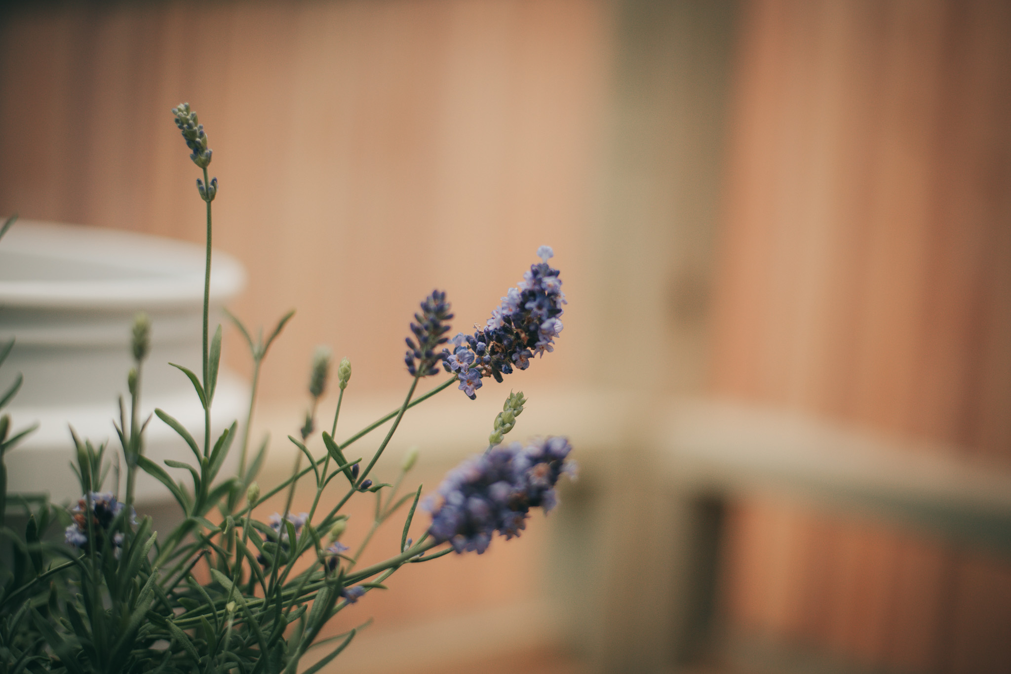 Get Ready to Grow My Greenhouse {living outside the stacks} Follow @DaenelT on Instagram #BlackGardener #ContainerGarden #Gardener #Greenhouse #Librarianotographer #LivingOutsideTheStacks #TeamLOTS #VegetableGarden