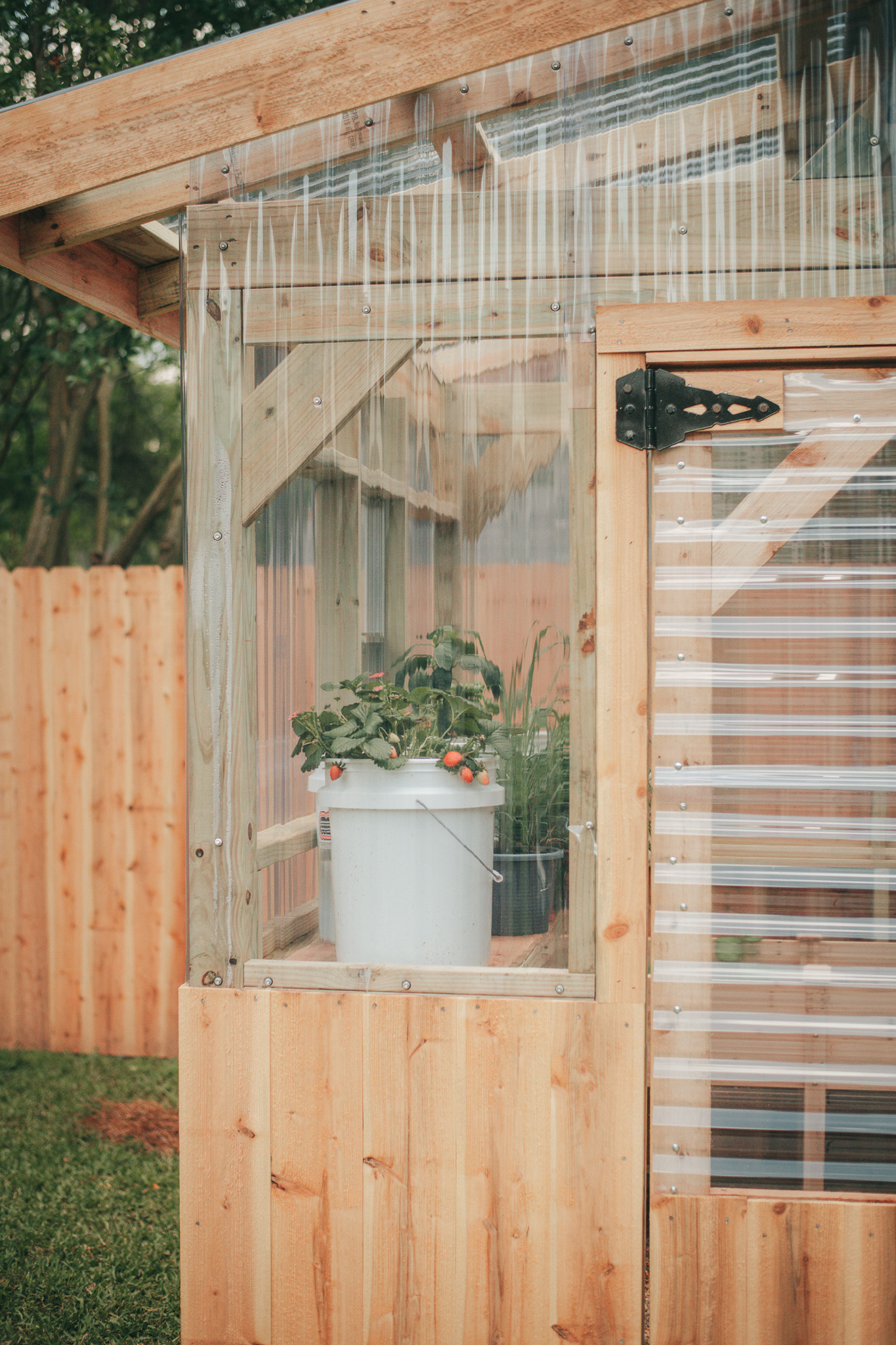 Get Ready to Grow My Greenhouse {living outside the stacks} Follow @DaenelT on Instagram #BlackGardener #ContainerGarden #Gardener #Greenhouse #Librarianotographer #LivingOutsideTheStacks #TeamLOTS #VegetableGarden