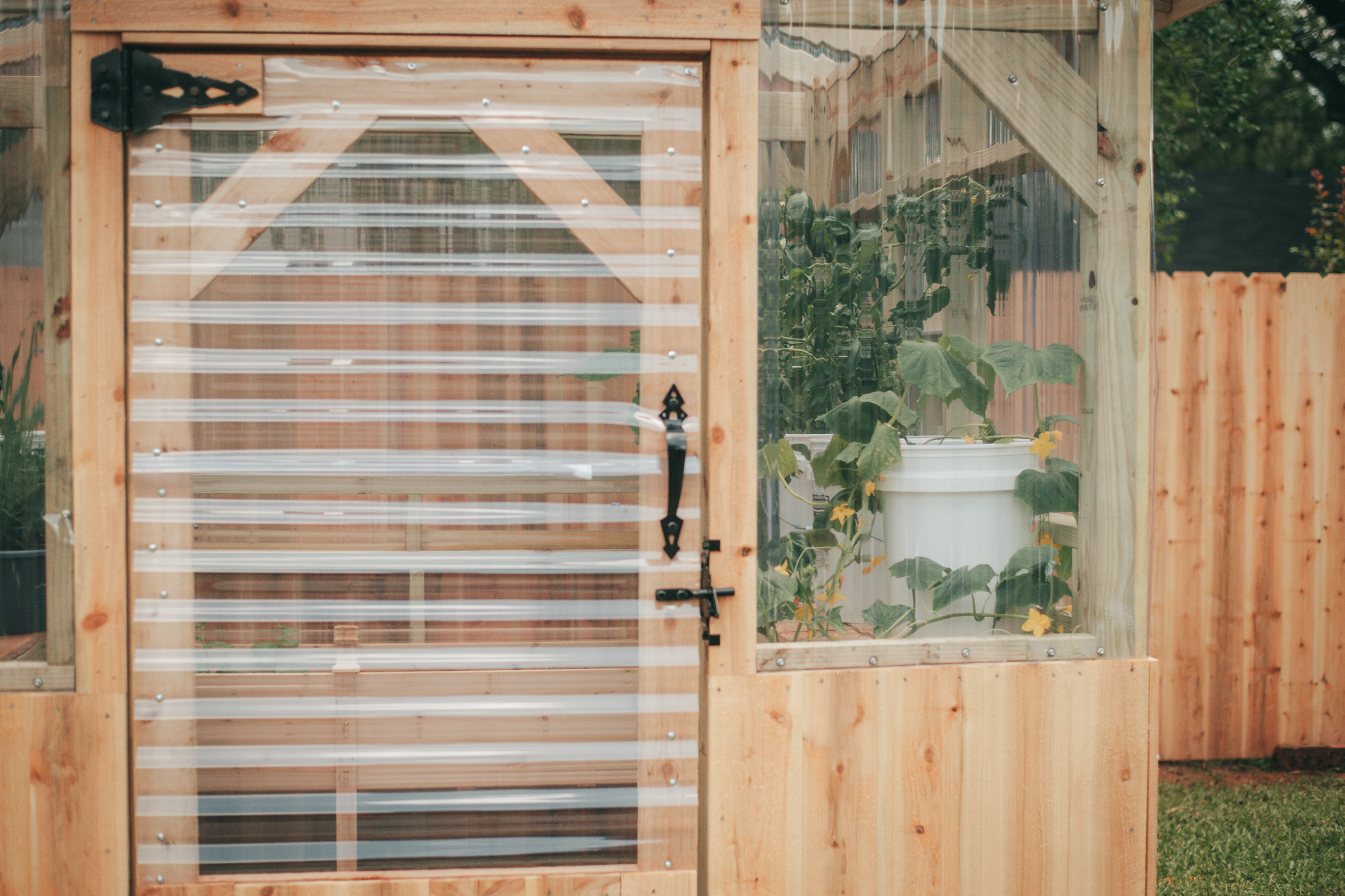 Get Ready to Grow My Greenhouse {living outside the stacks} Follow @DaenelT on Instagram #BlackGardener #ContainerGarden #Gardener #Greenhouse #Librarianotographer #LivingOutsideTheStacks #TeamLOTS #VegetableGarden
