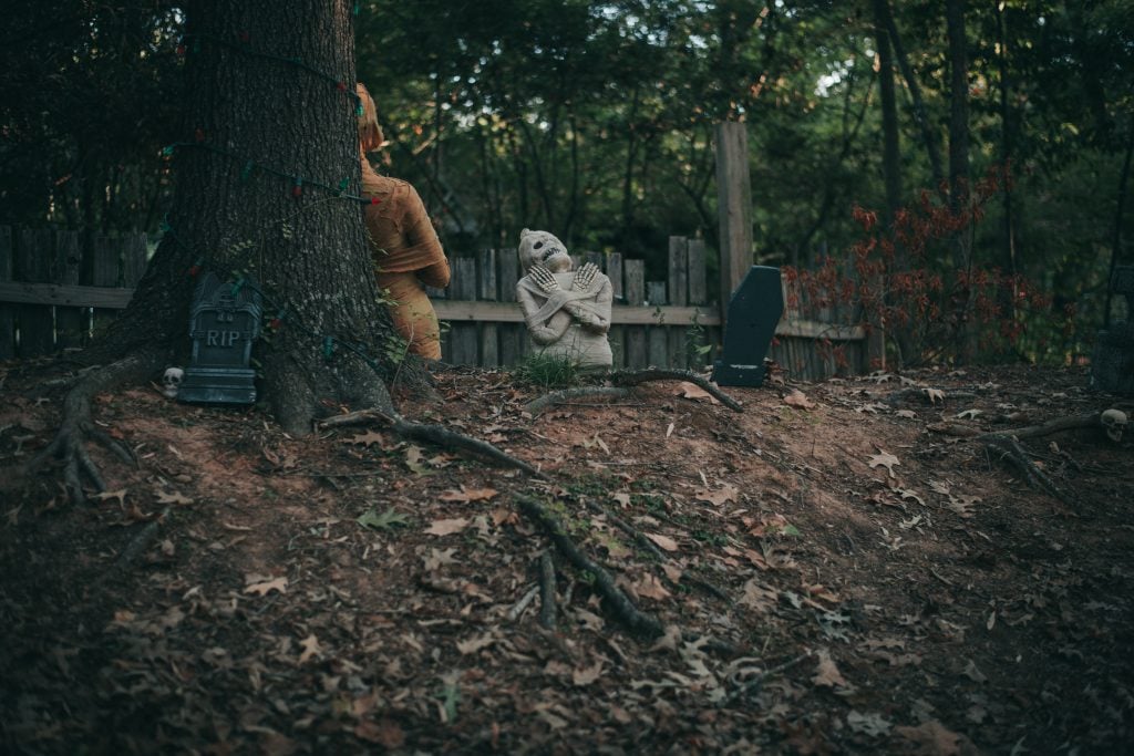 Alexandria Pineville Ambassador_Zoo Boo {living outside the stacks} Follow @DaenelT on Instagram #Librarianotographer #Alexandria #Pineville #AlexandriaPinevilleAmbassador #Cenla