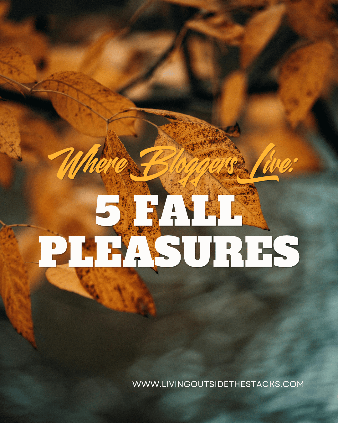 Where Bloggers Live 5 Fall Pleasures 001 {living outside the stacks} Follow @DaenelT on Instagram #FallPleasures #GenX #Librarianotographer #Librarian #LivingOutsideTheStacks